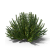Trädgård